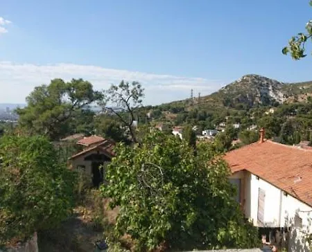 Petit Parmi Les Pins Et Les Cypres * Marsilya