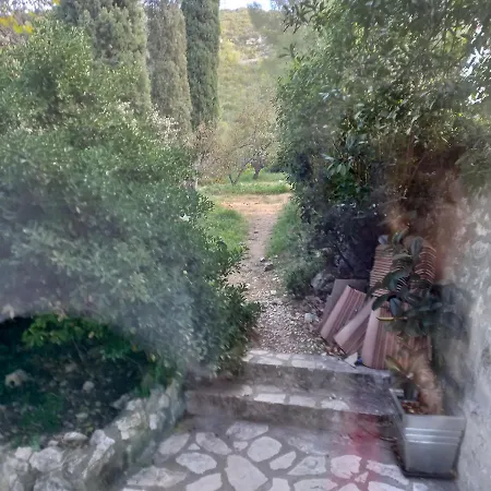 Petit Parmi Les Pins Et Les Cypres Daire
